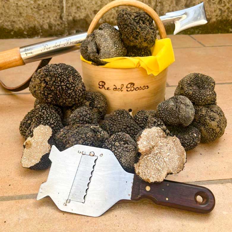 Tartufo Fresco per Ristorazione